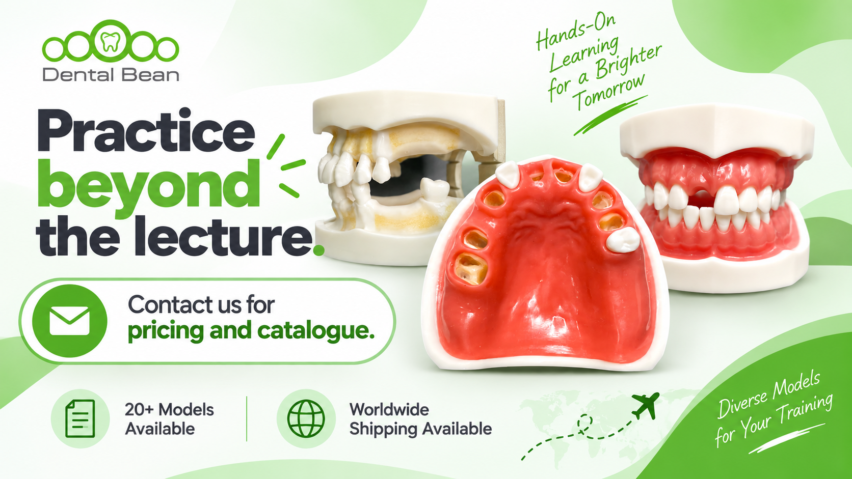 Dental Bean Practice Model